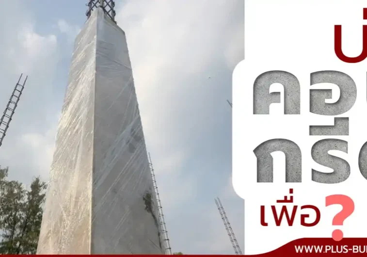 3.บ่มปูน แก้ size 3.บ่มปูน แก้ size